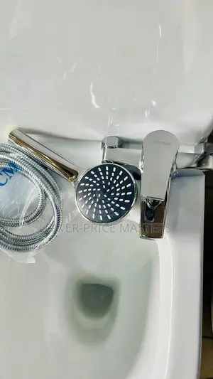 2 in 1 Hot and Cold Telephone Shower