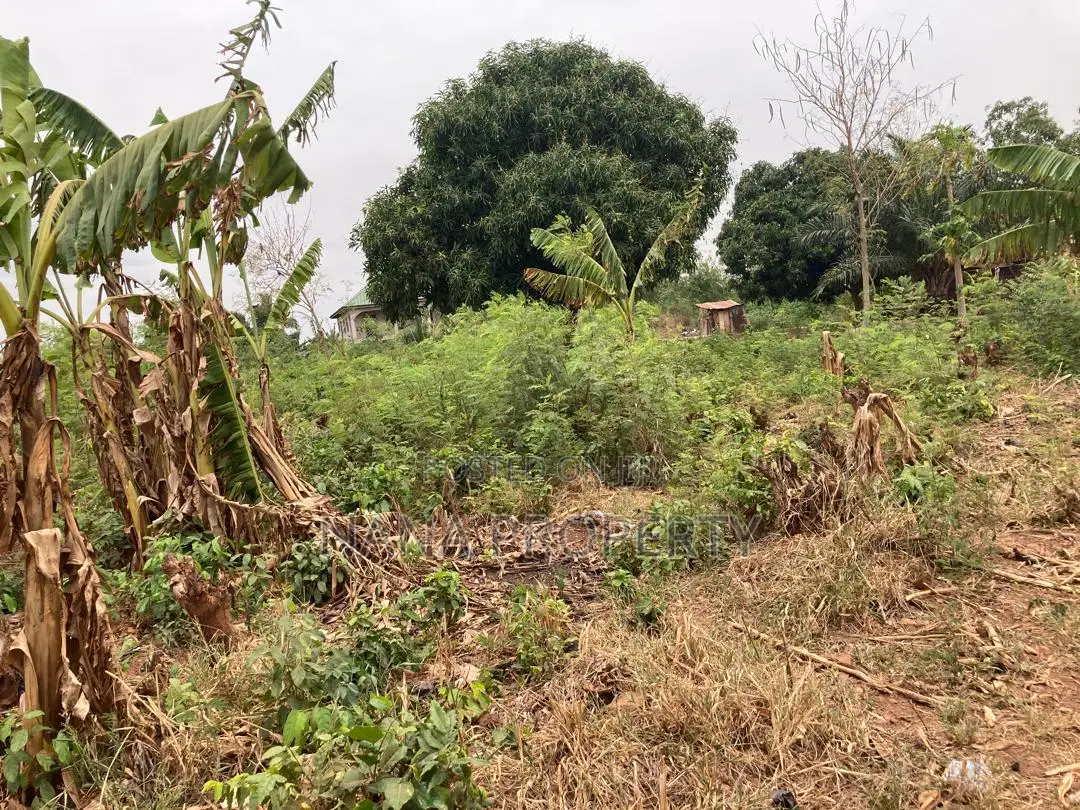 Four Plots of Land for Sale Located at Oyarifa Kuotaam