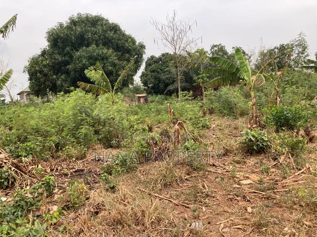 Four Plots of Land for Sale Located at Oyarifa Kuotaam