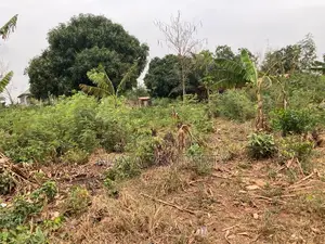 Four Plots of Land for Sale Located at Oyarifa Kuotaam