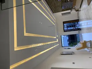 Professional Painters