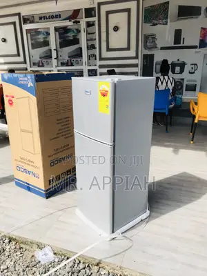 Long Lasting Electric Nasco Nasf2-13fl Fridge(Gray).