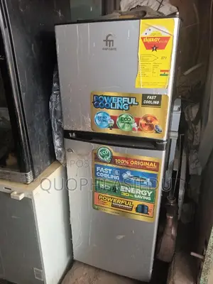 Fridge Mechanic