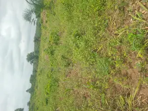 Farm Land for Sale