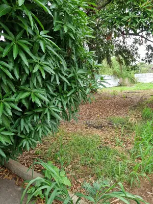 2 Plots of Land for Sale at Spintex Coca Cola