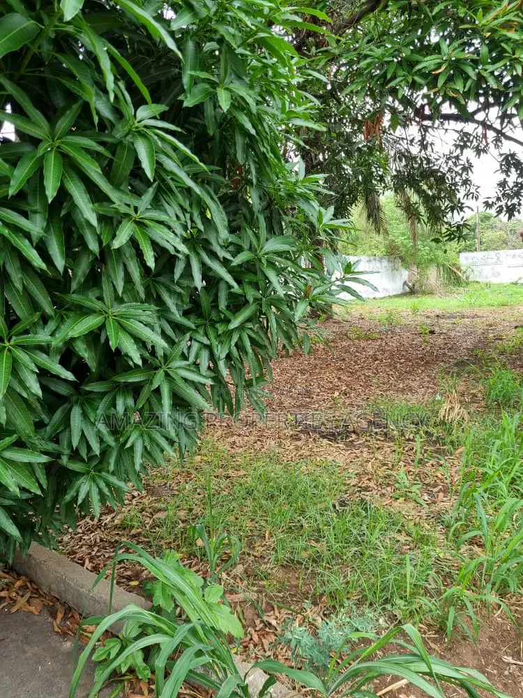 2 Plots of Land for Sale at Spintex Coca Cola