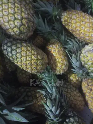 Fresh Pineapple
