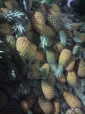 Fresh Pineapple