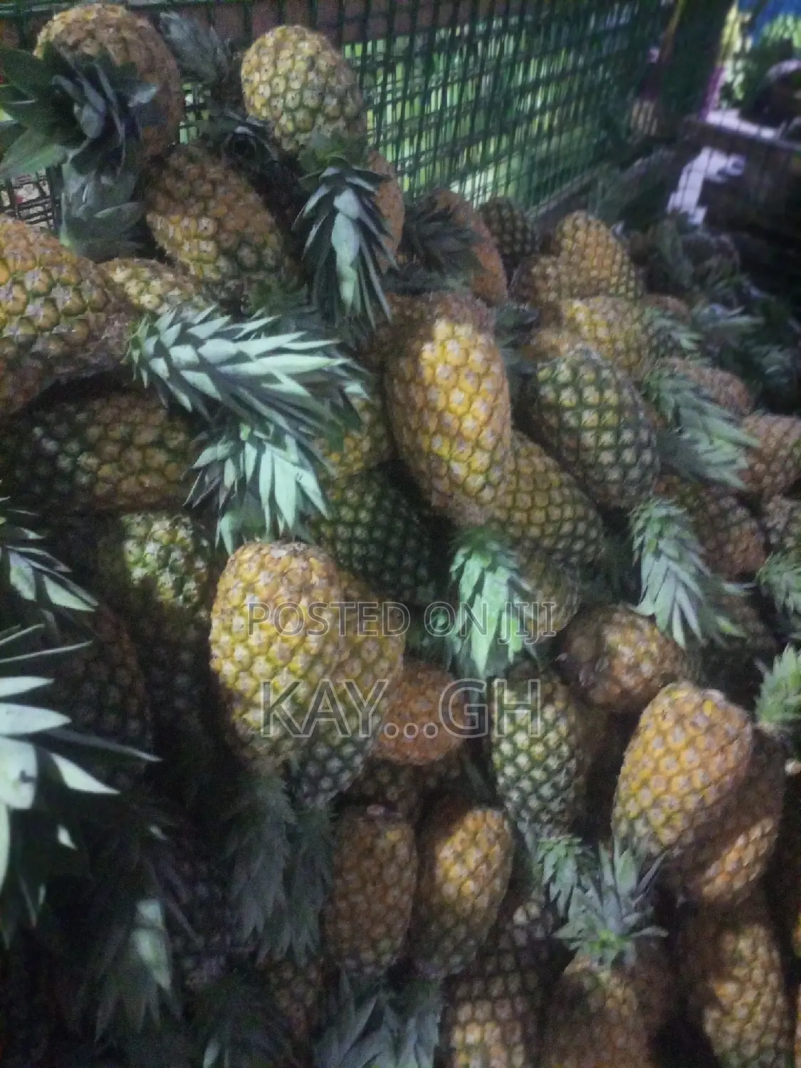 Fresh Pineapple