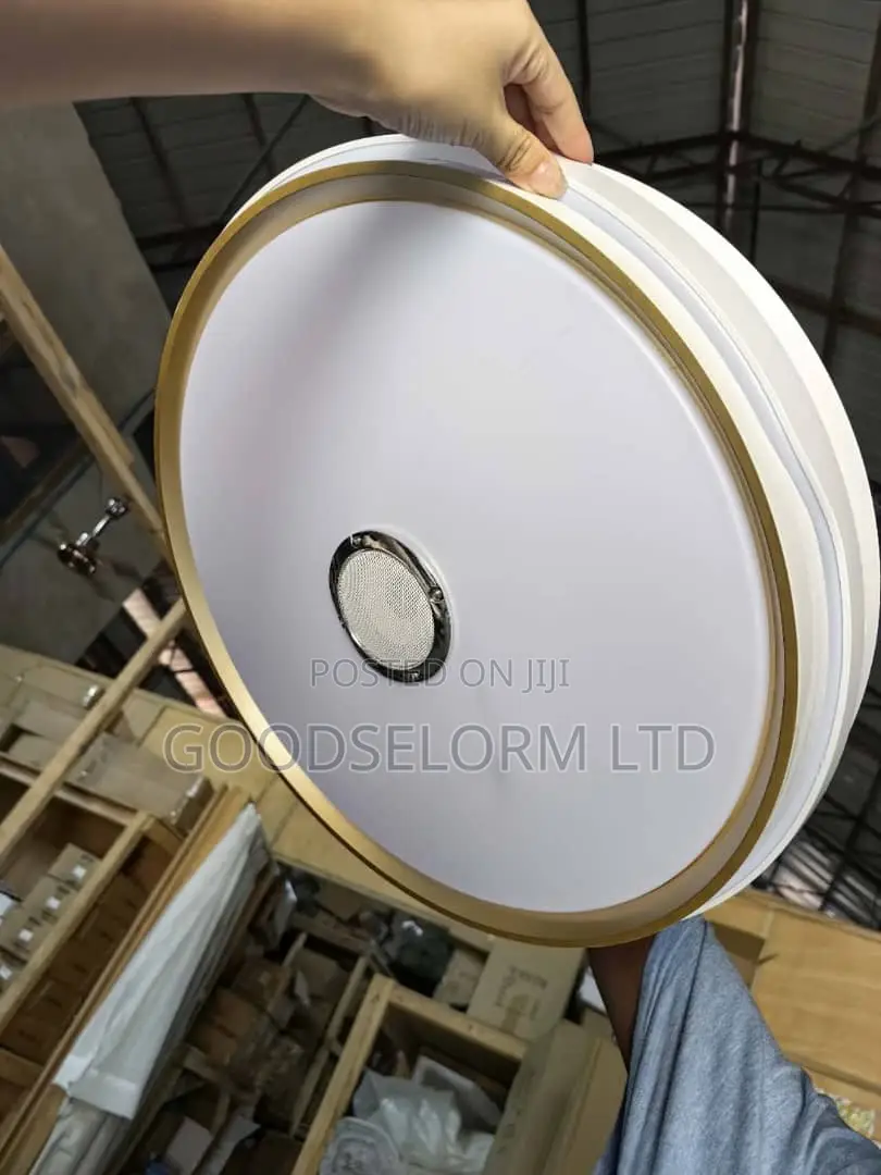 Fan Lights RGB Chandelier