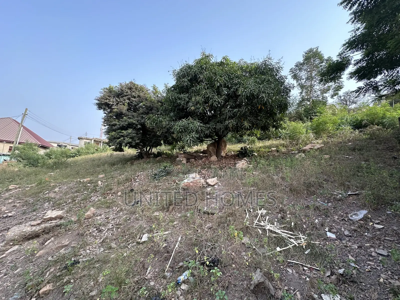 Free Hold 3 Plot of Land for Sale at Dansoman