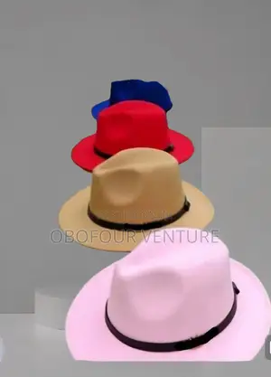 Men and Women Fedora Hat Stylish Hat With Elegant Designs