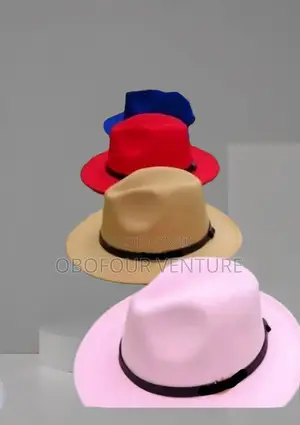 Men and Women Fedora Hat Stylish Hat With Elegant Designs
