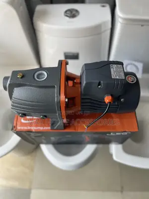 Leo Automatic Water Pump