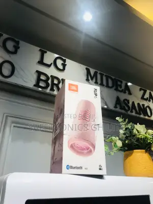 Essential Wireless Bluetooth Electric JBL Flip 6 Speaker