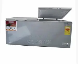 Zara 725 Freezer 460ltrs Double Door Lock Light Silver