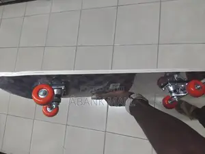 Adult Skate Board
