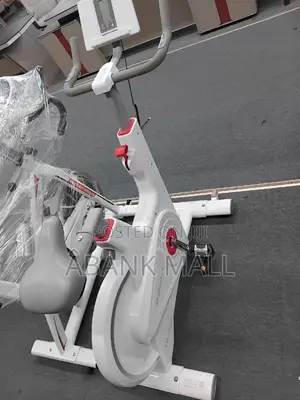 Smart Luxury Spin Bike