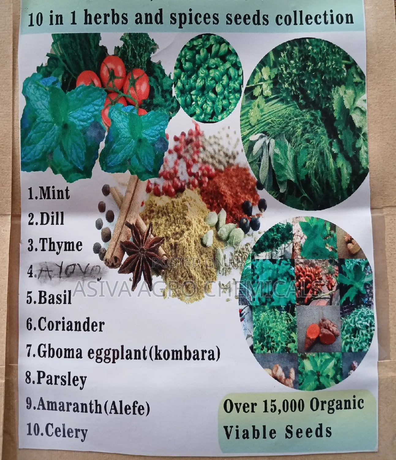 15 in 1 Seeds Collection