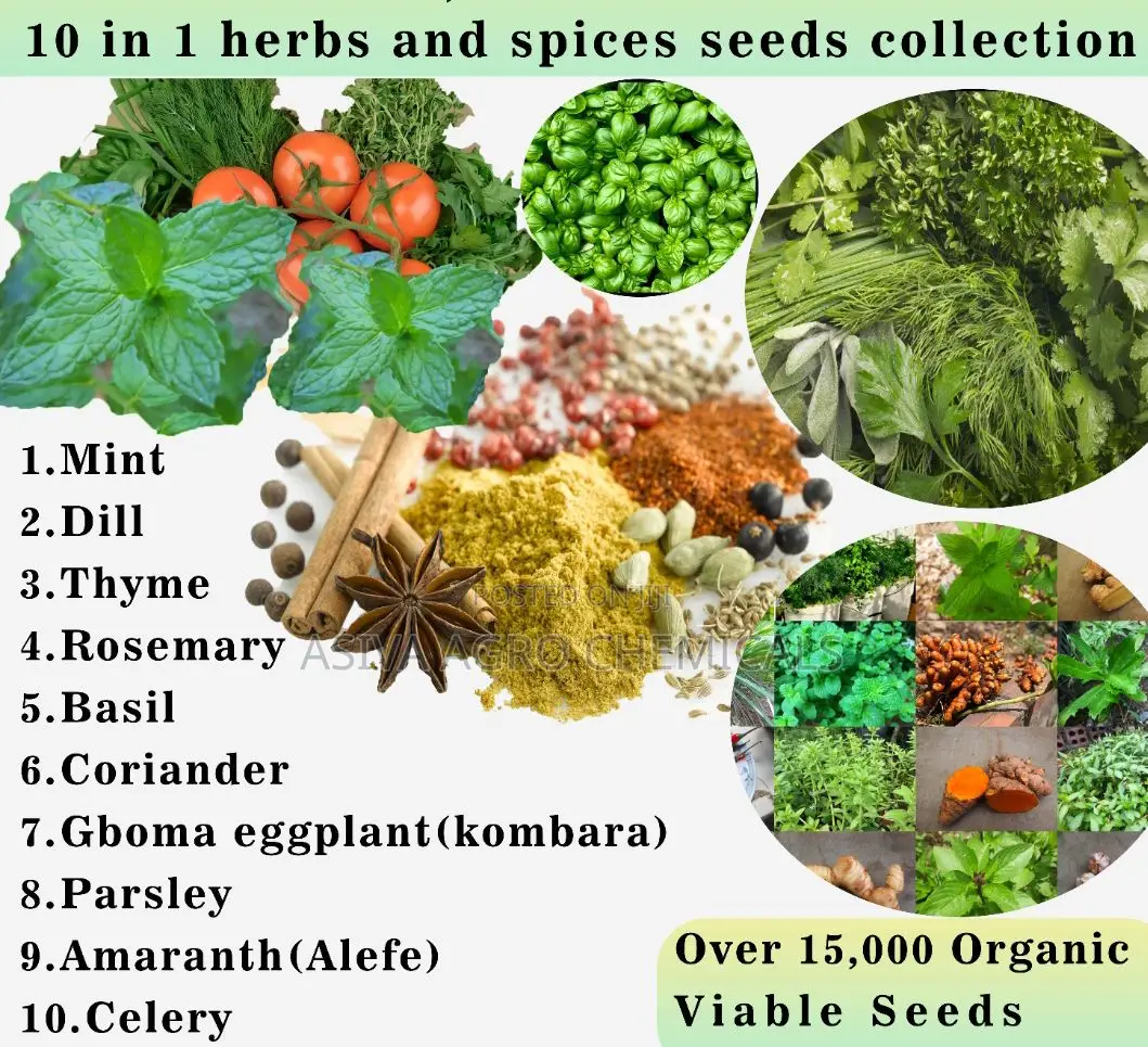 15 in 1 Seeds Collection