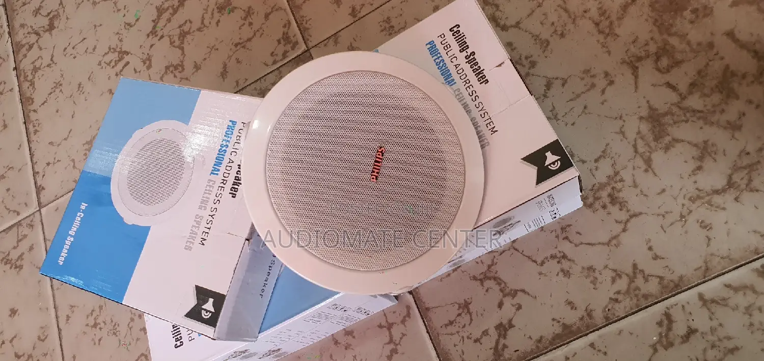 Ceiling Speaker