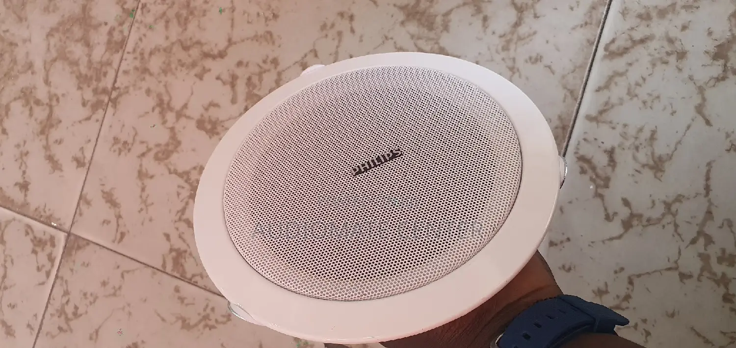 Ceiling Speaker
