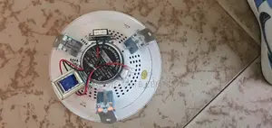 Ceiling Speaker