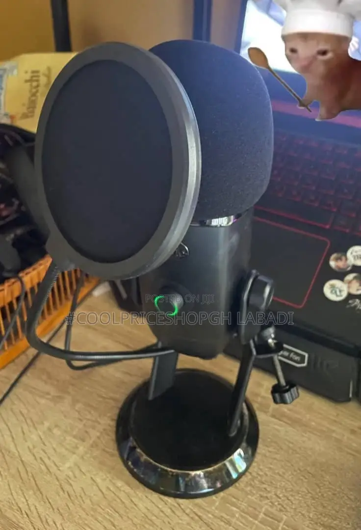 Pop Filter Windshield Microphone