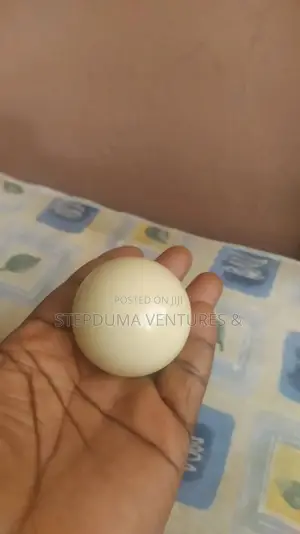 Snooker White Ball(Key Ball)