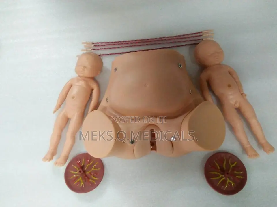 Delivery Dummy ( Half Body)