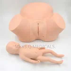 Delivery Dummy ( Half Body)