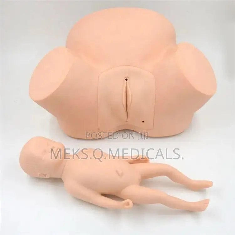 Delivery Dummy ( Half Body)