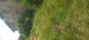 3 Plots of Land Fenced Together in Kasoa Fijai for Sale