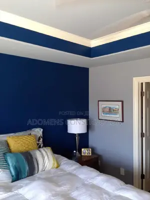 Professional Interior and Exterior Painting Works