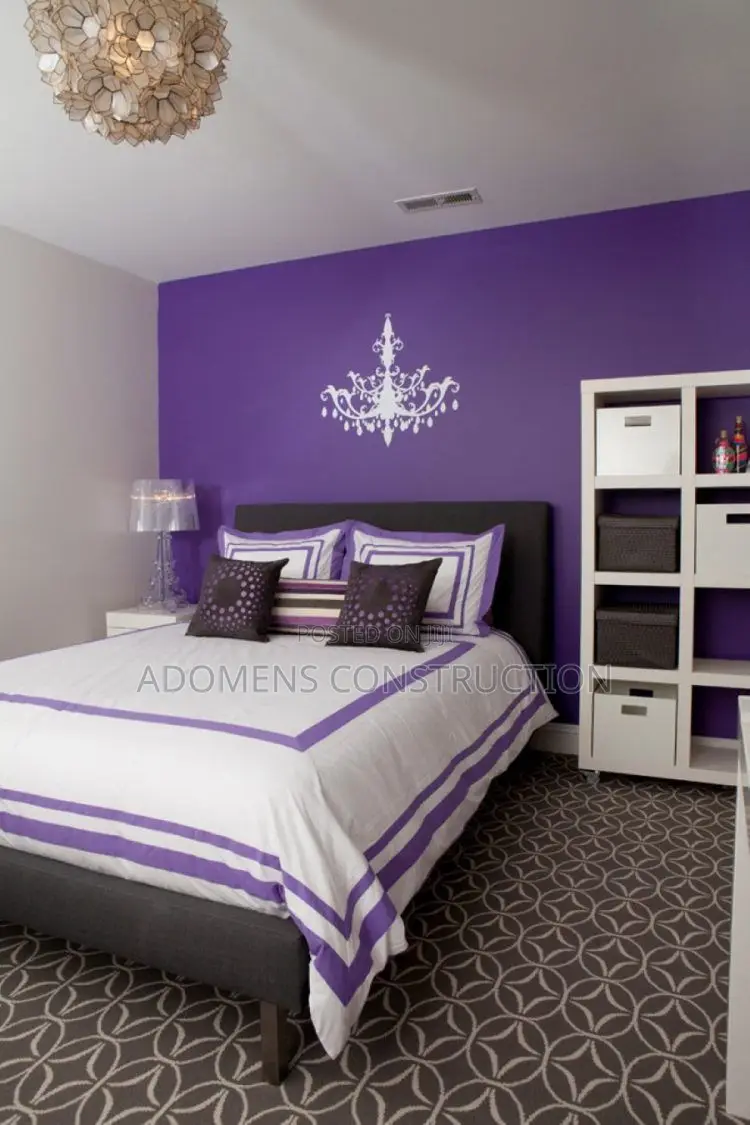 Professional Interior and Exterior Painting Works