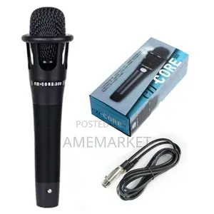 E300 Condenser Microphone for Live Program Studio Recording