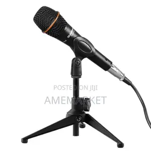 E300 Condenser Microphone With Stand.