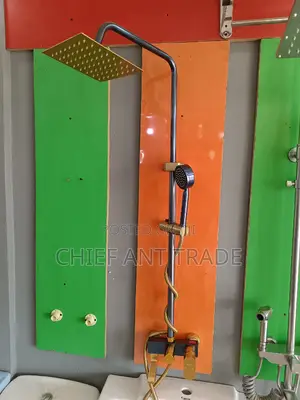3 Flow Hot Cold Shower