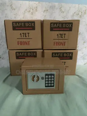 Safe Electronic Mini Safe