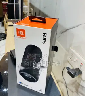 Classic Design JBL Flip 6 Wireless Bluetooth Speaker(Black)