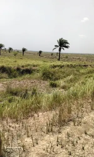 7 Acres of Land at Ada