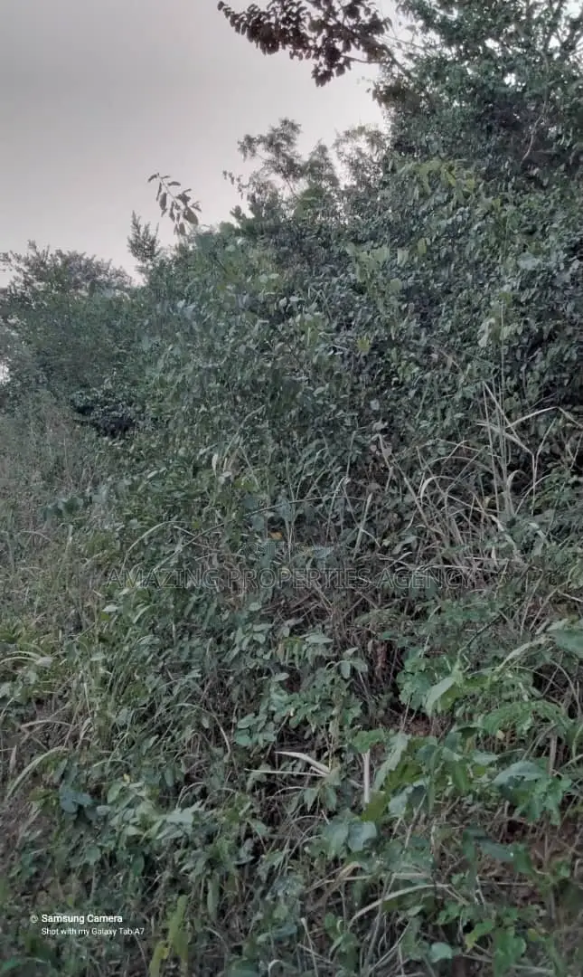 7 Acres of Land at Ada