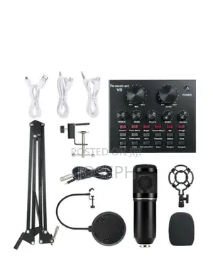 Studio Recording Microphone