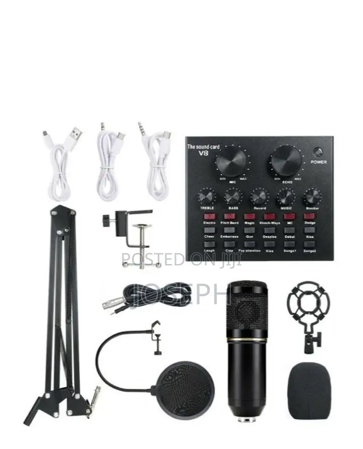 Studio Recording Microphone