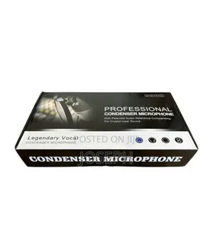 Studio Recording Microphone