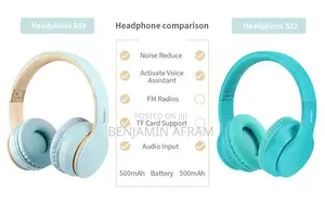 Wireless Headsets HZ-BT611
