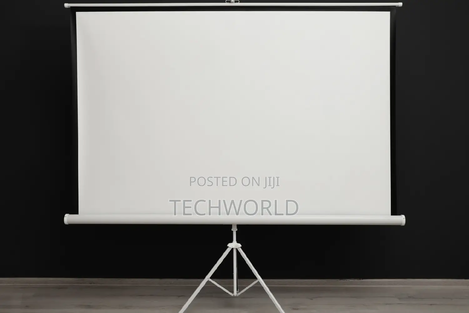 Tripod and Manual Projector Screen