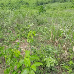 Plot for Sale at Kansa City