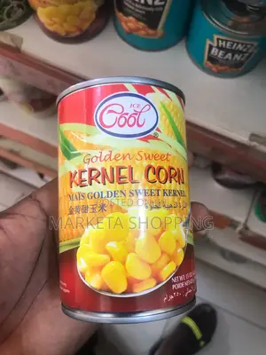 Ice Cool Golden Sweet Kernel Corn 250g
