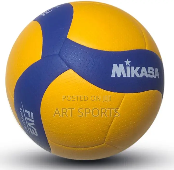 Mikasa Volleyball